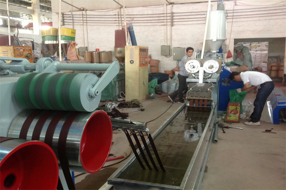 Linea di produzione di plastica della cinghia dell'ANIMALE DOMESTICO una cinghia intelligente di 6 nastri che fa macchina 50HZ